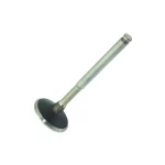 KOHLER EXHAUST VALVE ED0096852030-S